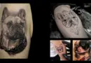 Tatuajes de Bulldog Frances