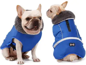 abrigo para el frio para perros OBeauty